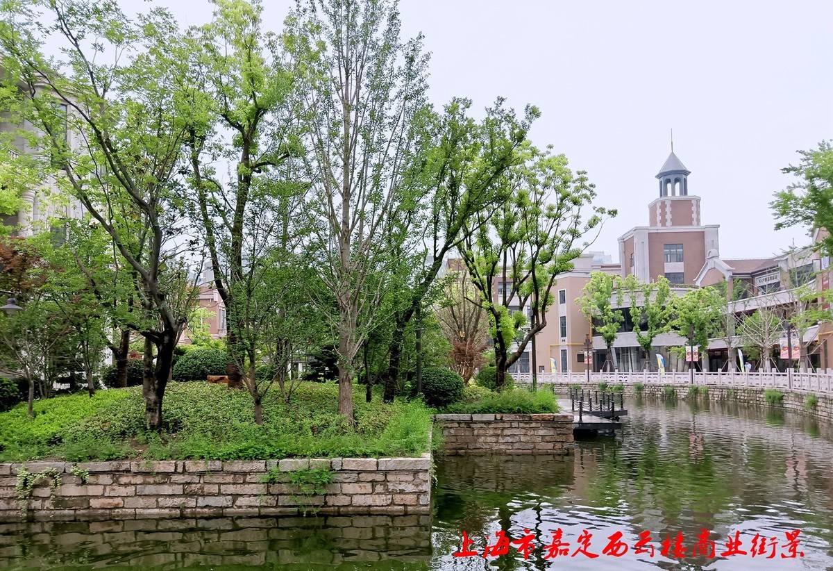 上海市嘉定西云楼商业街景