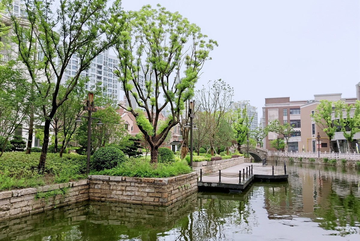 上海市嘉定西云楼商业街景