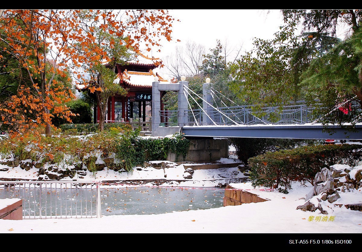 暑天福利，一组雪景来降温
