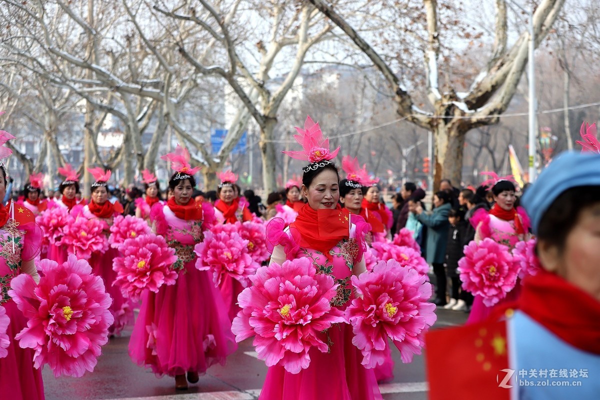 献给众位老哥的老姐姐图