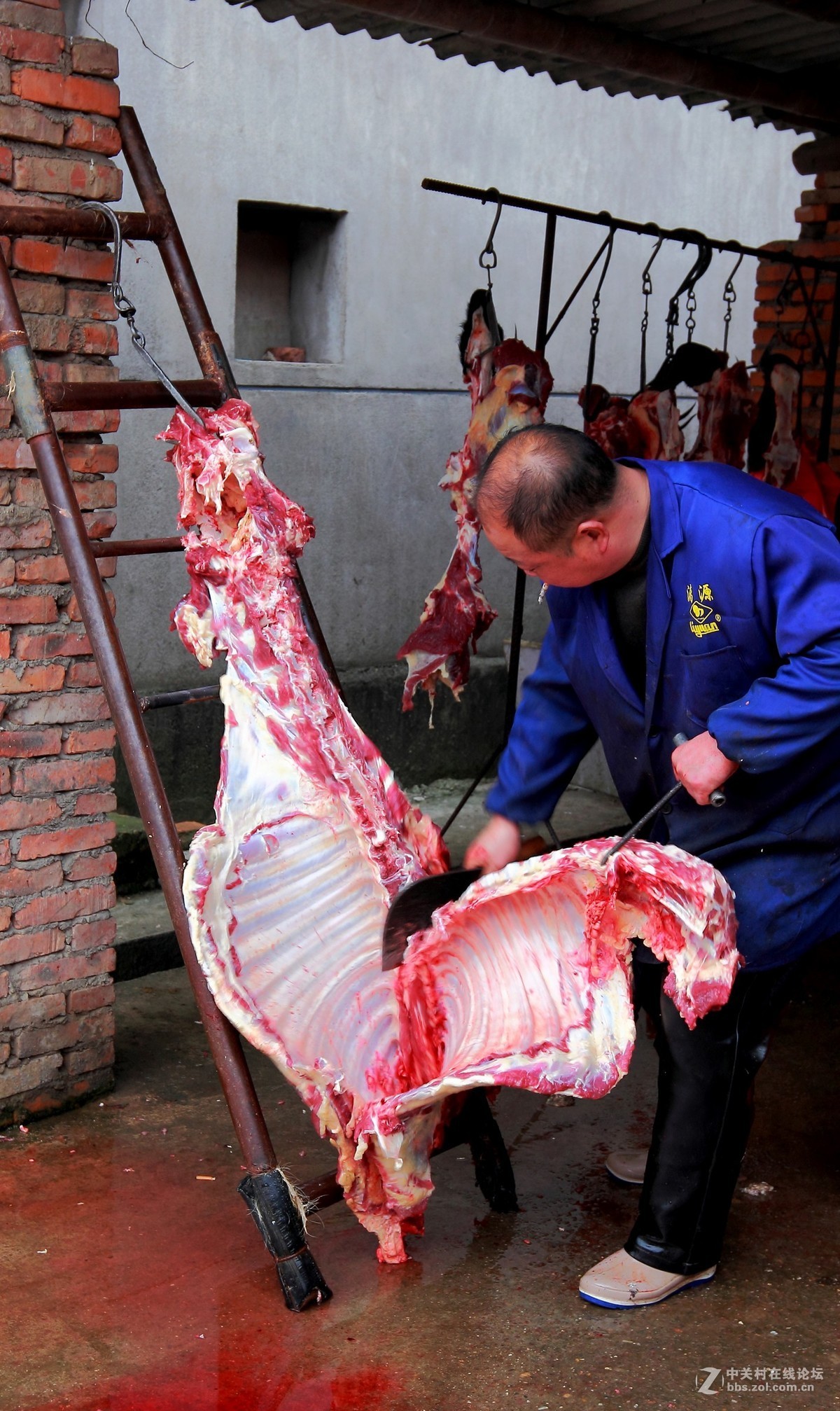 杀猪宰牛，红红火火过大年纪实3。