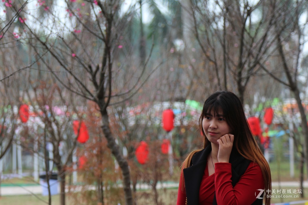 春暖樱花开，美女云集来，“鬼佬趁热闹”，忙坏抓拍人！！！