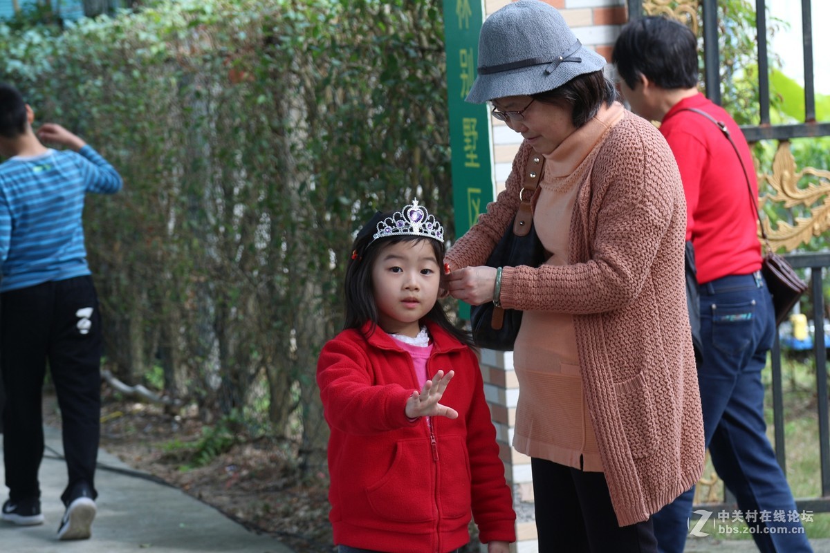 春暖樱花开，美女云集来，“鬼佬趁热闹”，忙坏抓拍人！！！