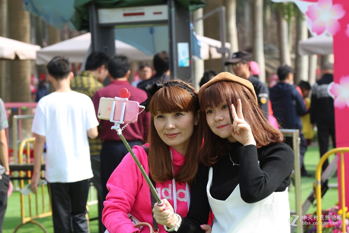 春暖樱花开，美女云集来，“鬼佬趁热闹”，忙坏抓拍人！！！