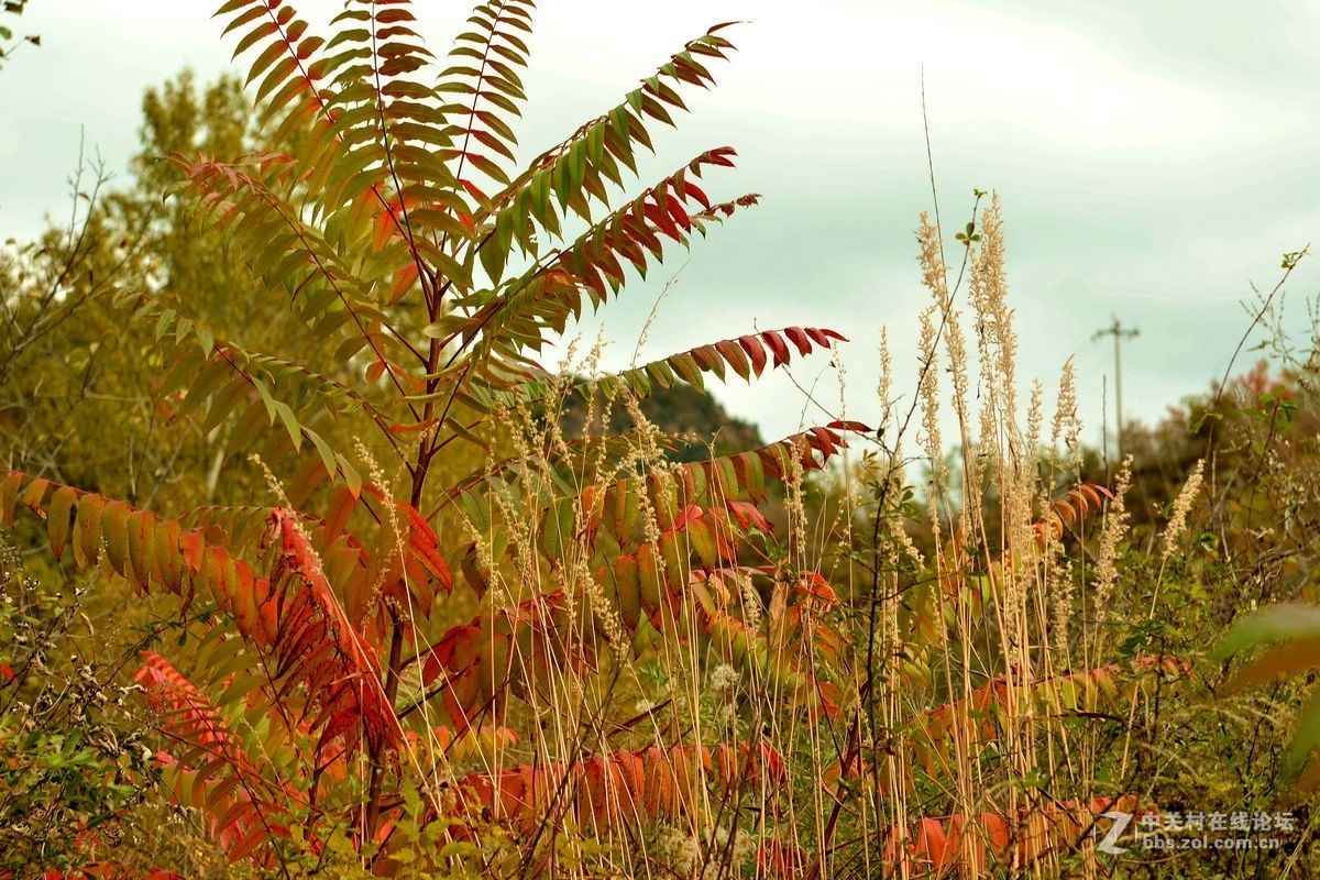 密云的“独秀峰”