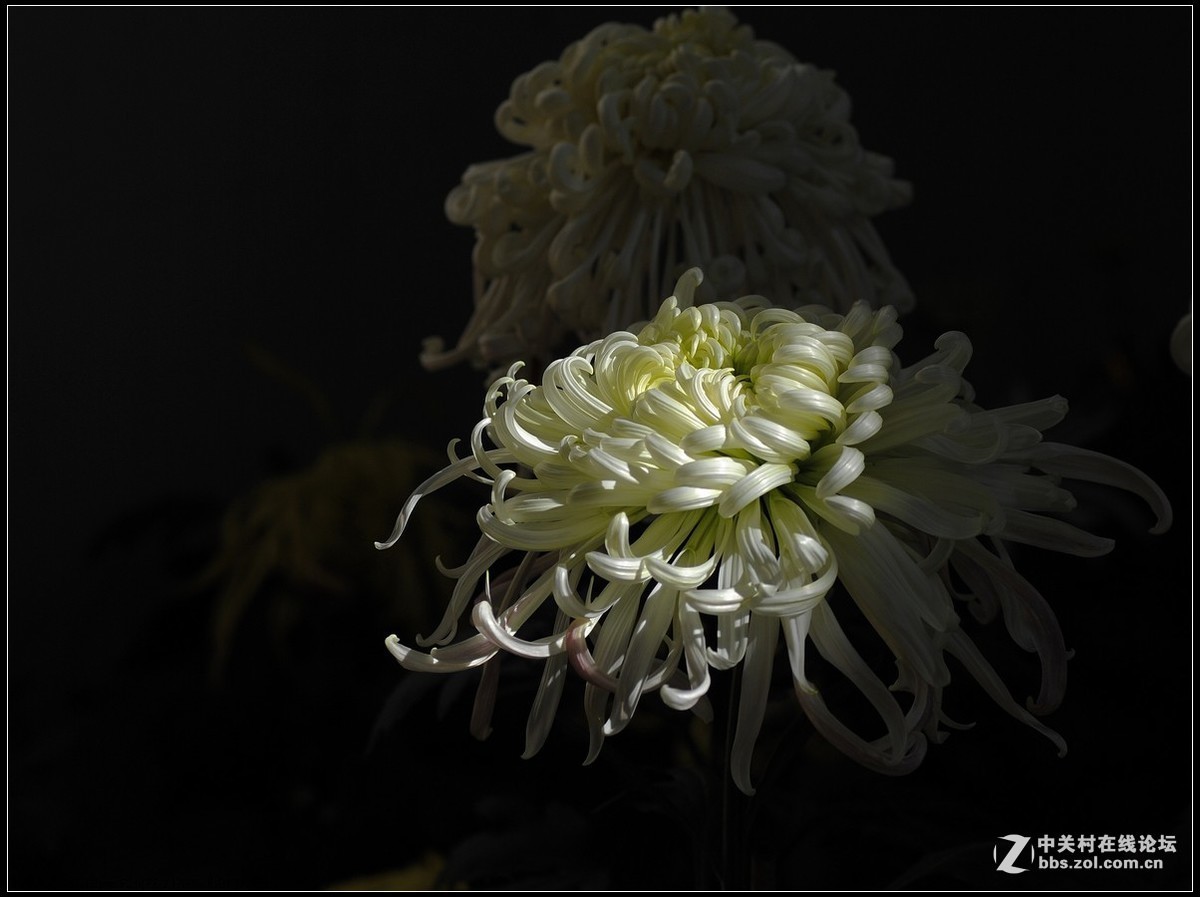 #版主坐堂#小五星空(中国)2017年十一月精品荟萃