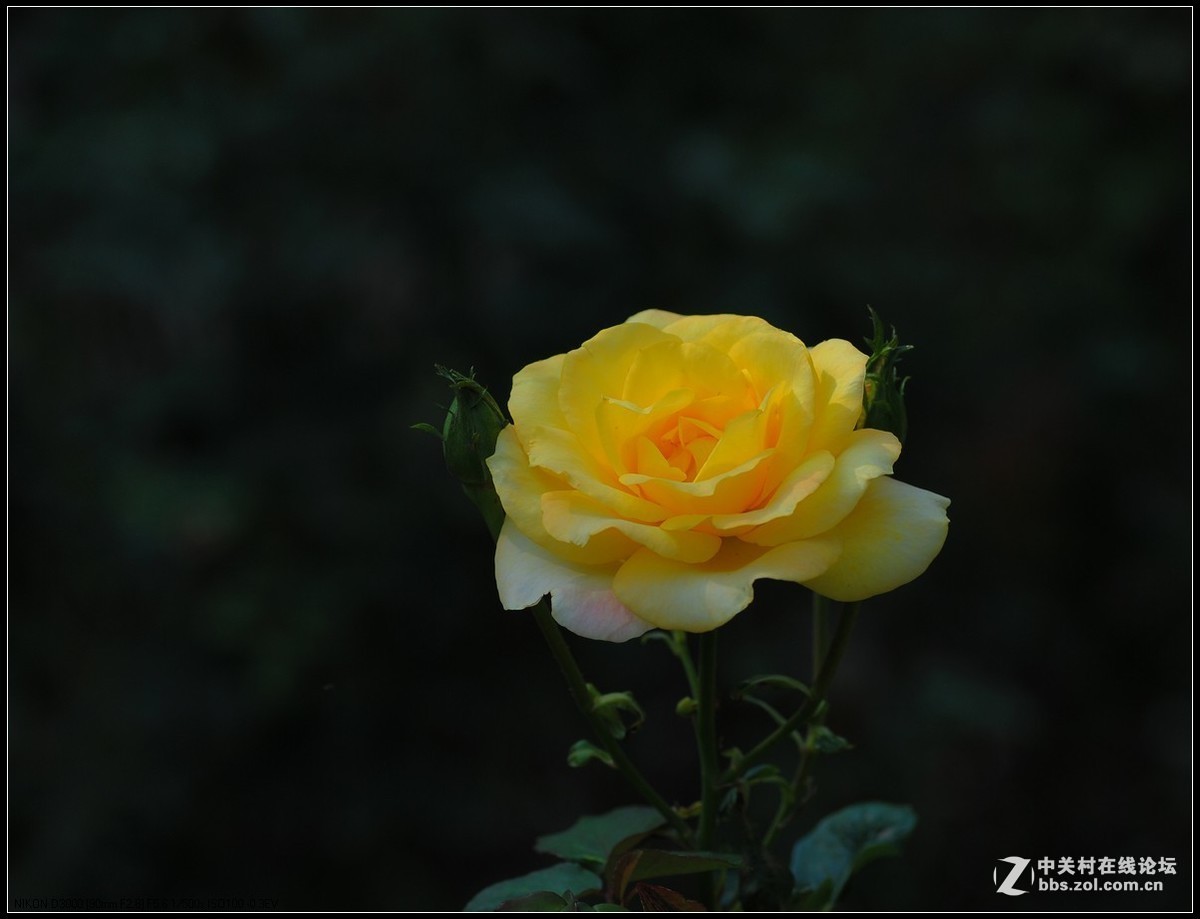 #版主坐堂#小五星空(中国)2017年十一月精品荟萃