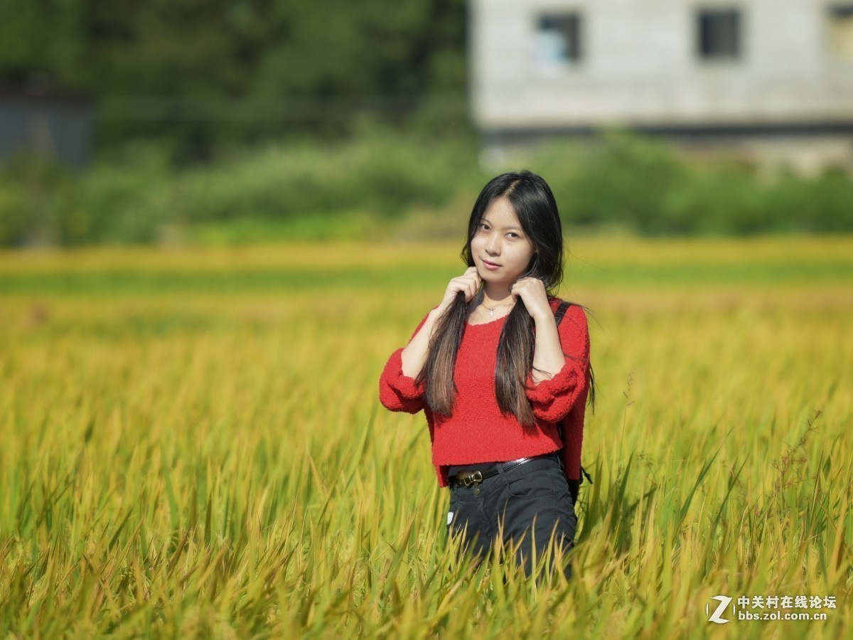 #版主坐堂#小五星空(中国)2017年十一月精品荟萃