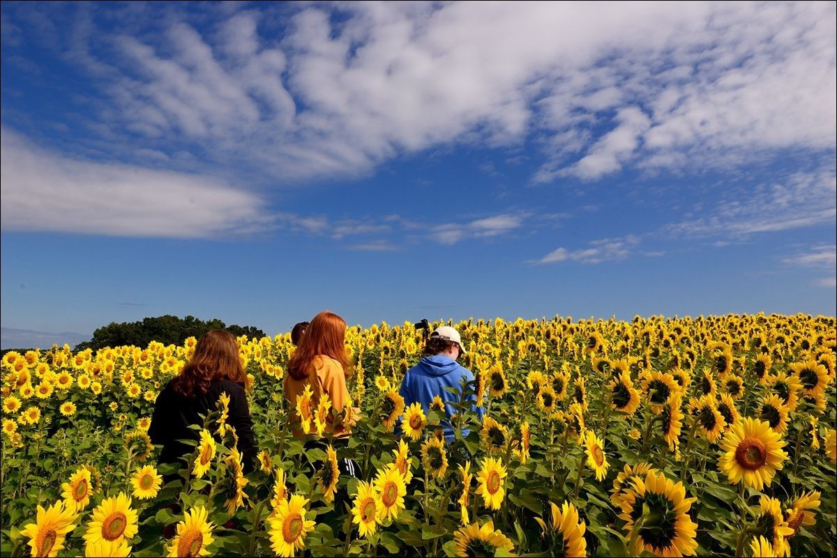 休闲随拍（370）