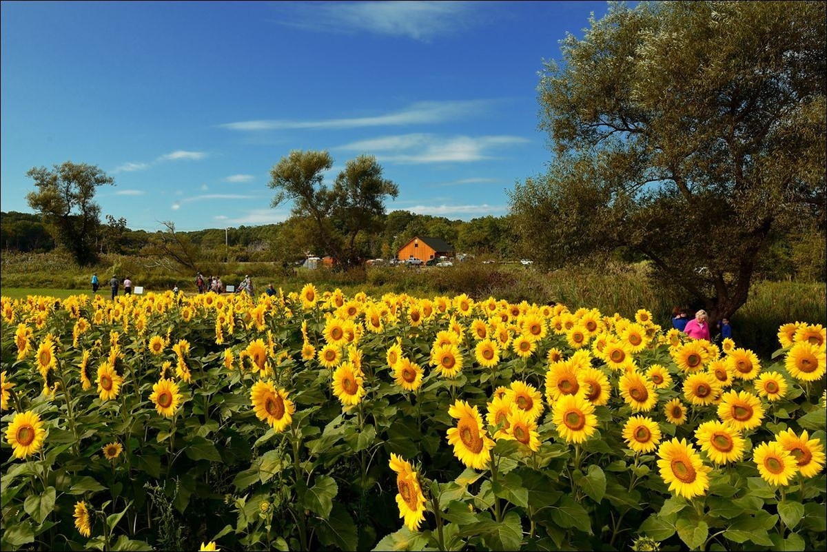 休闲随拍（370）