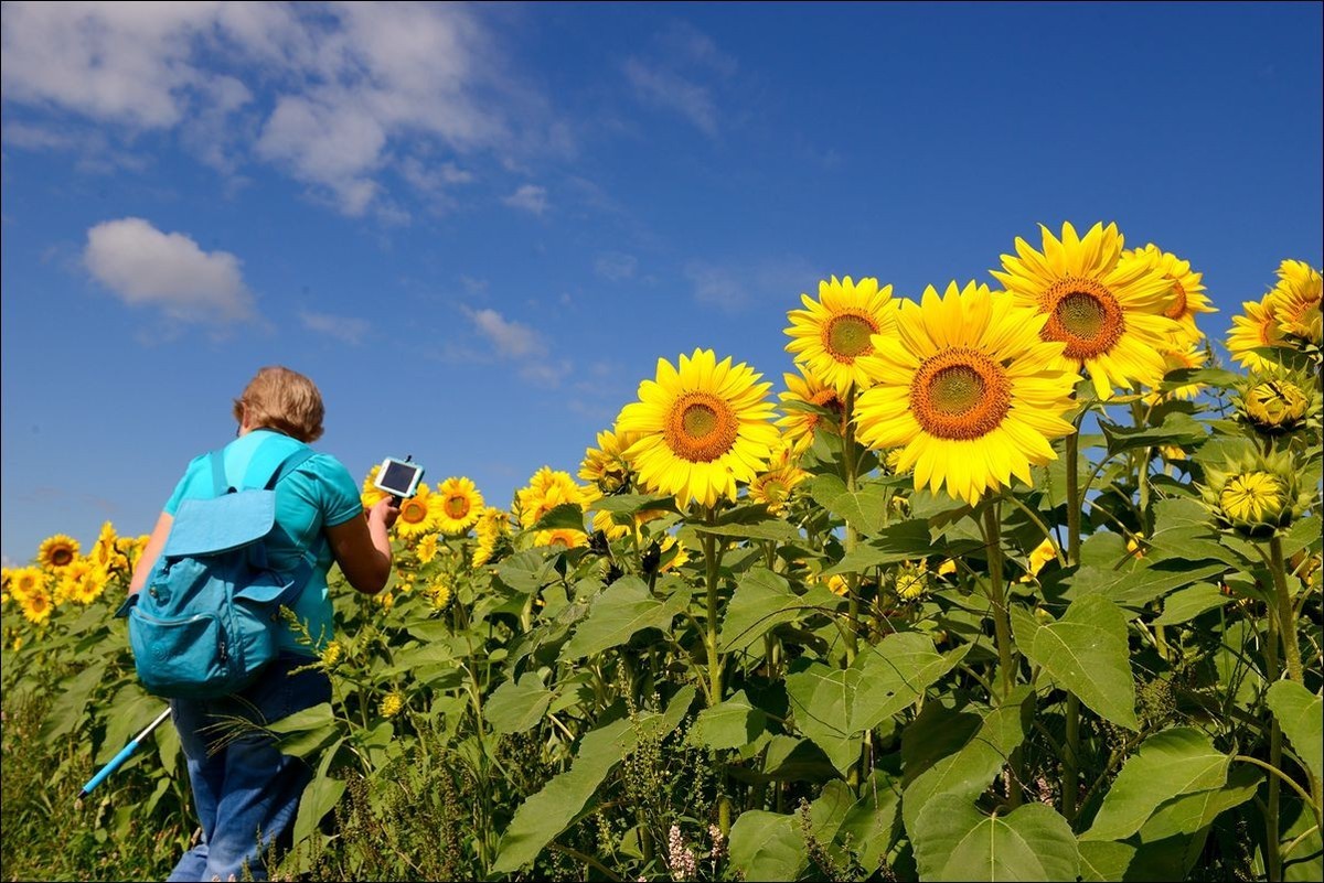 休闲随拍（370）