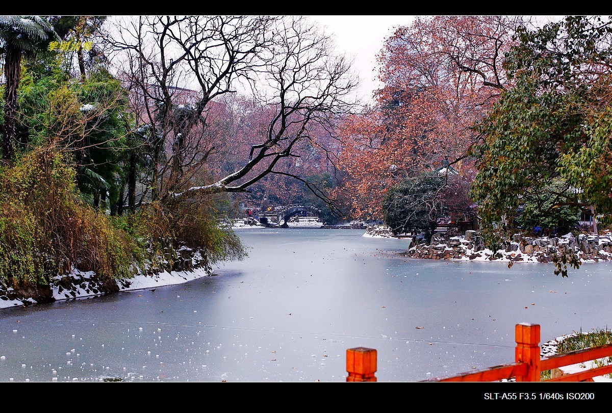 暑天福利，一组雪景来降温