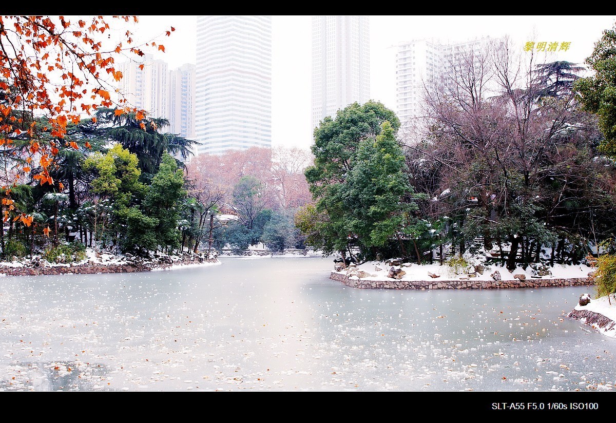 暑天福利，一组雪景来降温