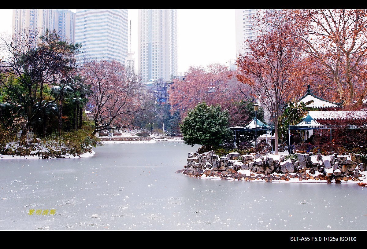 暑天福利，一组雪景来降温