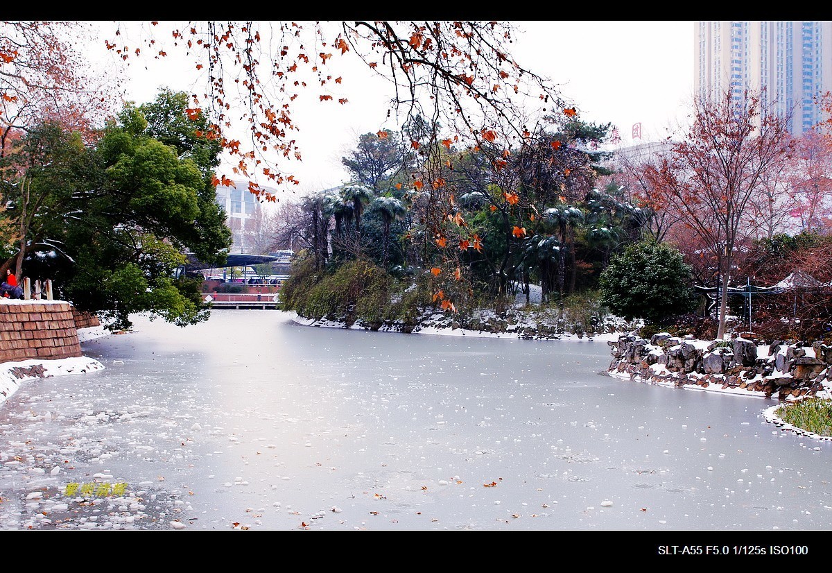 暑天福利，一组雪景来降温