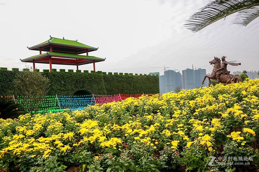 20181025游成都五龙山音乐百花谷拍摄记