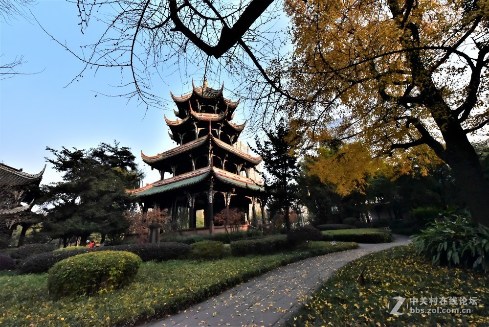 望江楼的秋天