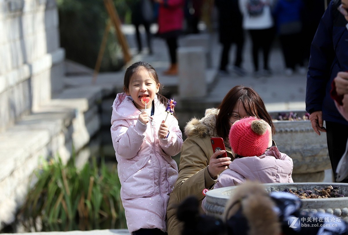 最近沦落成了拍娃党