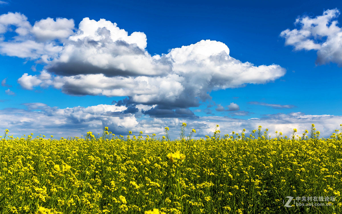 乌兰布统草原---印象