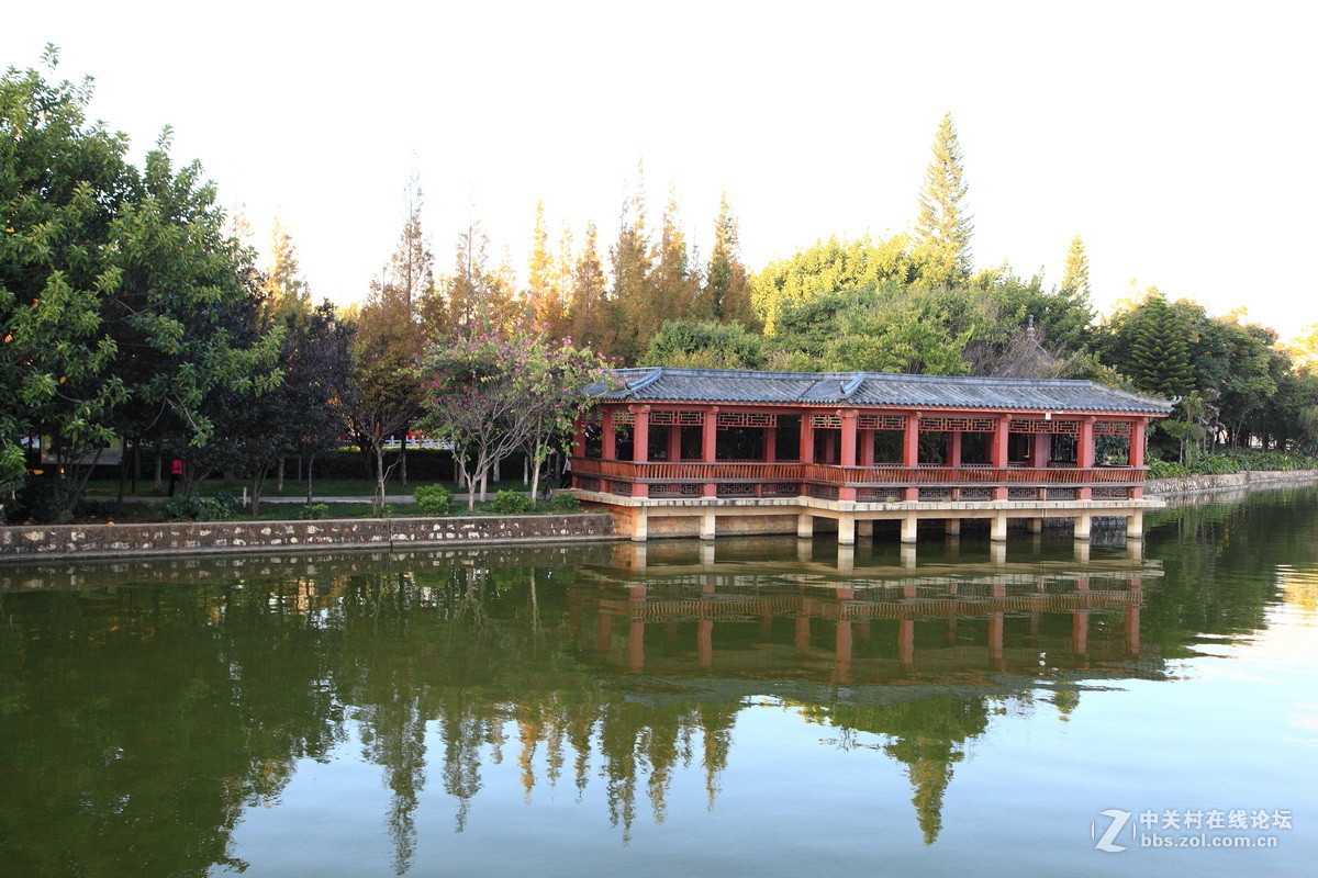 蒙自南湖的早晨