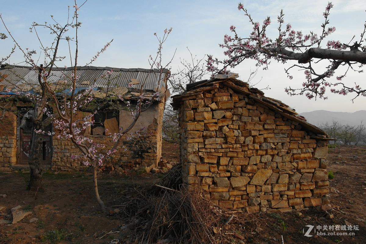 【历尽风雨】123...12p