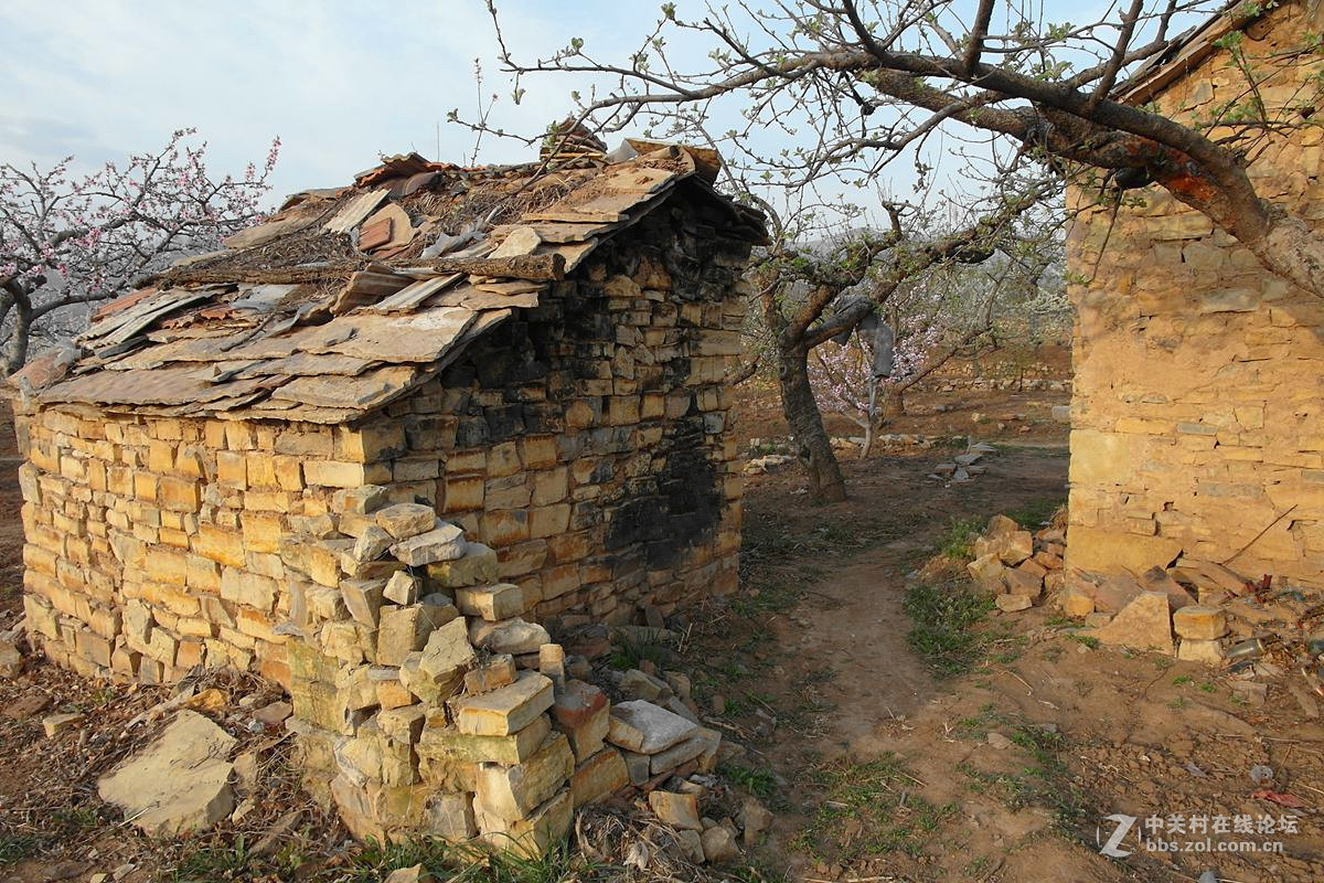 【历尽风雨】123...12p