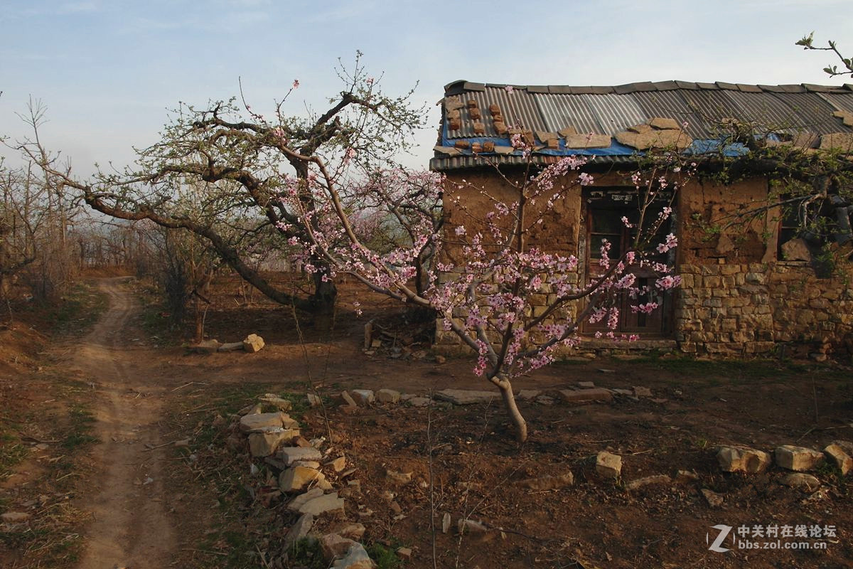 【历尽风雨】123...12p