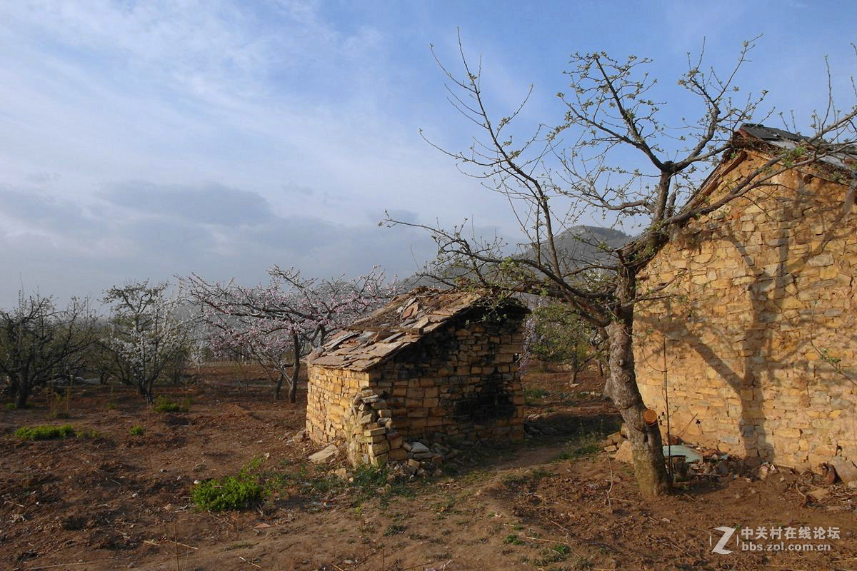 【历尽风雨】123...12p