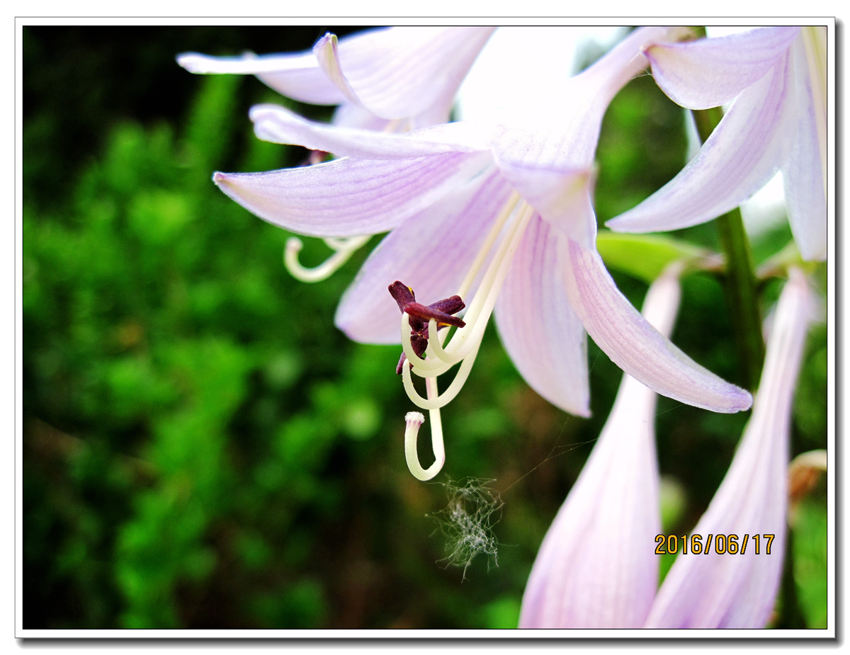 【行行摄摄】晨拍