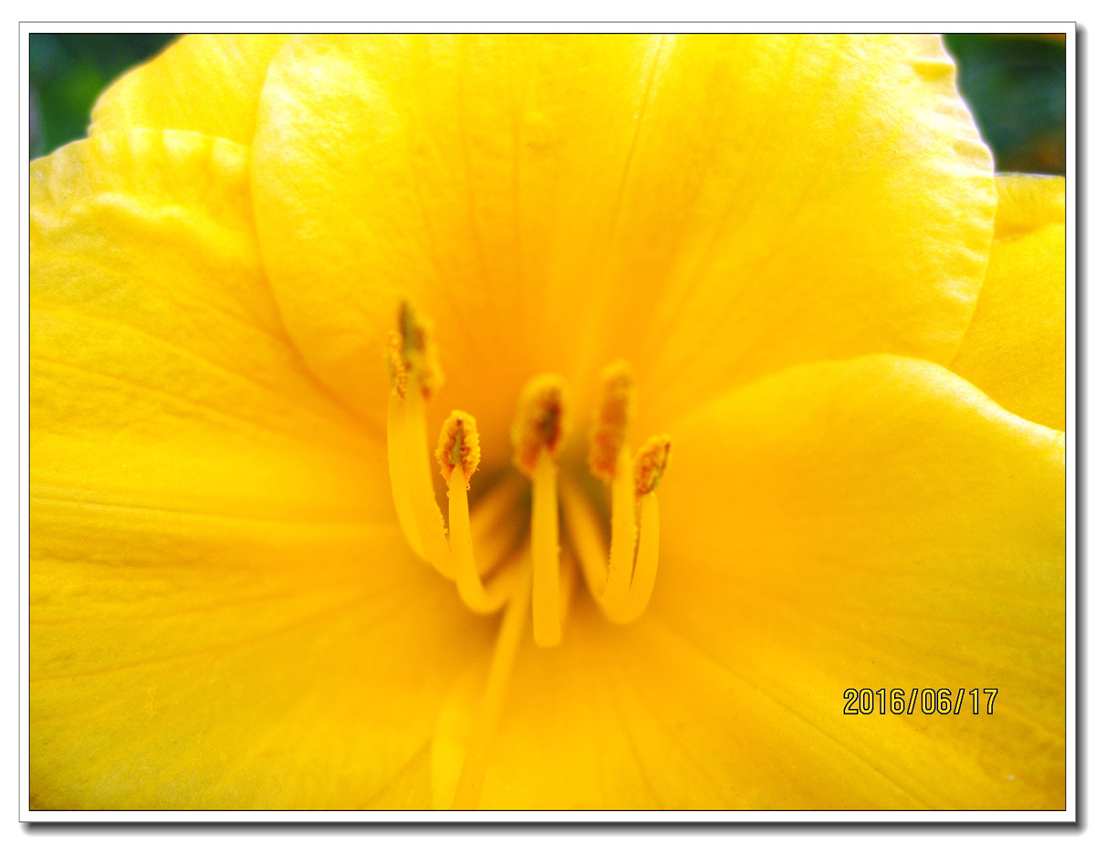 【行行摄摄】晨拍