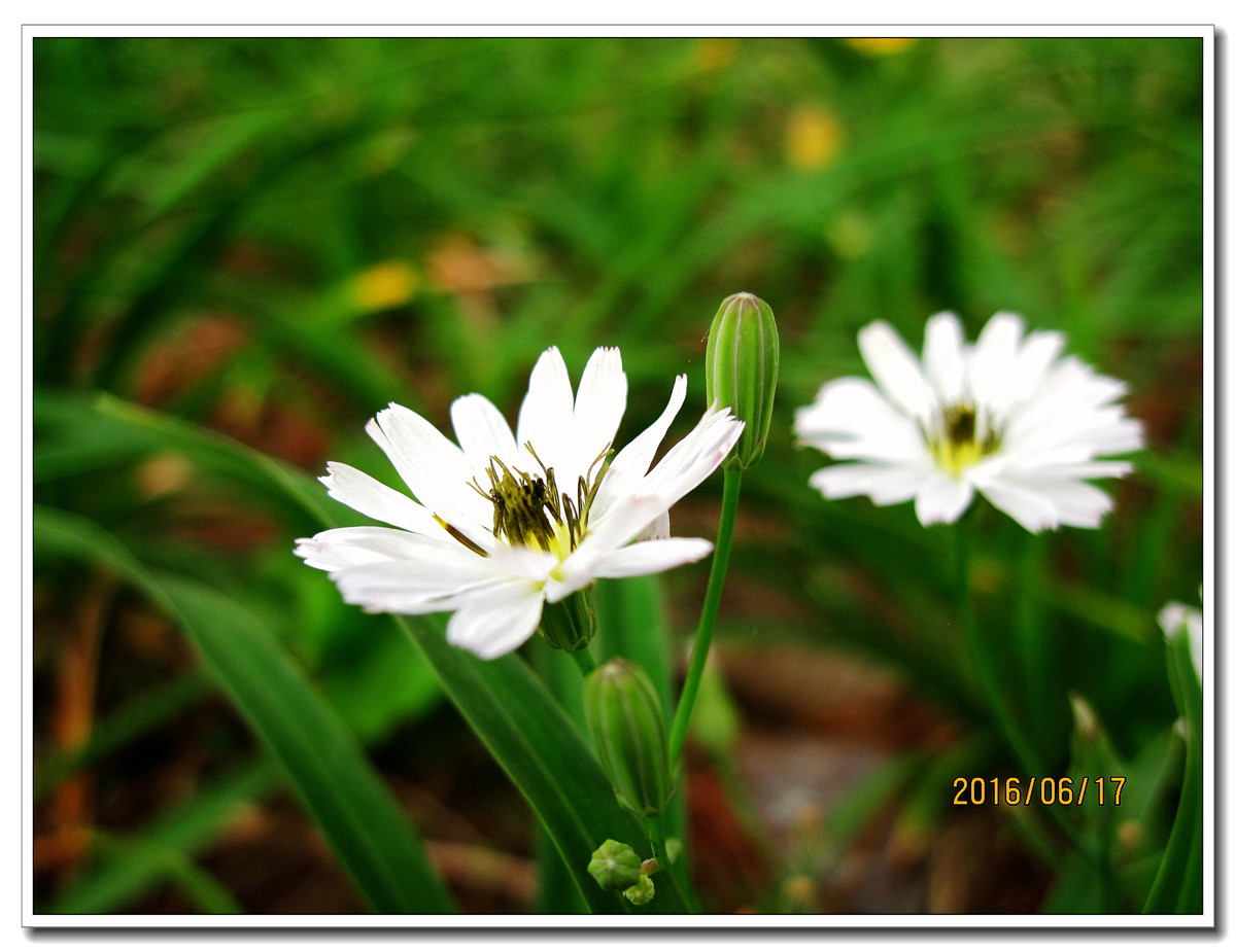 【行行摄摄】晨拍