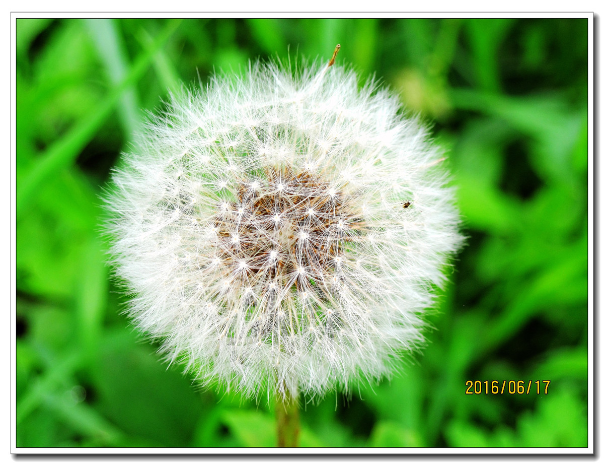 【行行摄摄】晨拍