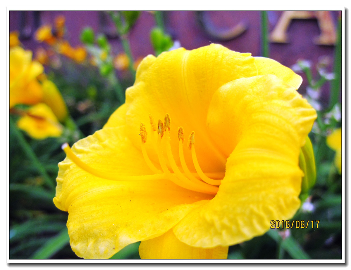 【行行摄摄】晨拍