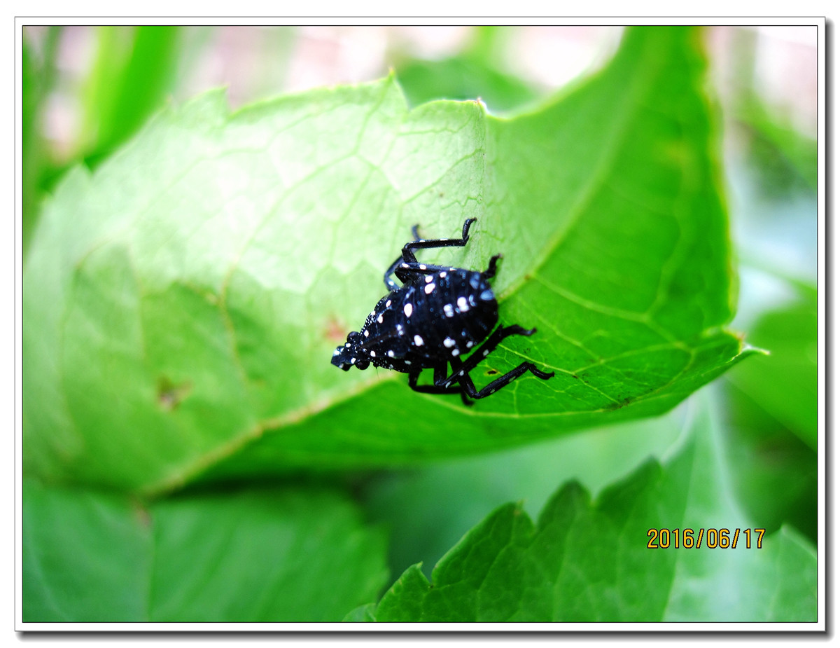 【行行摄摄】晨拍