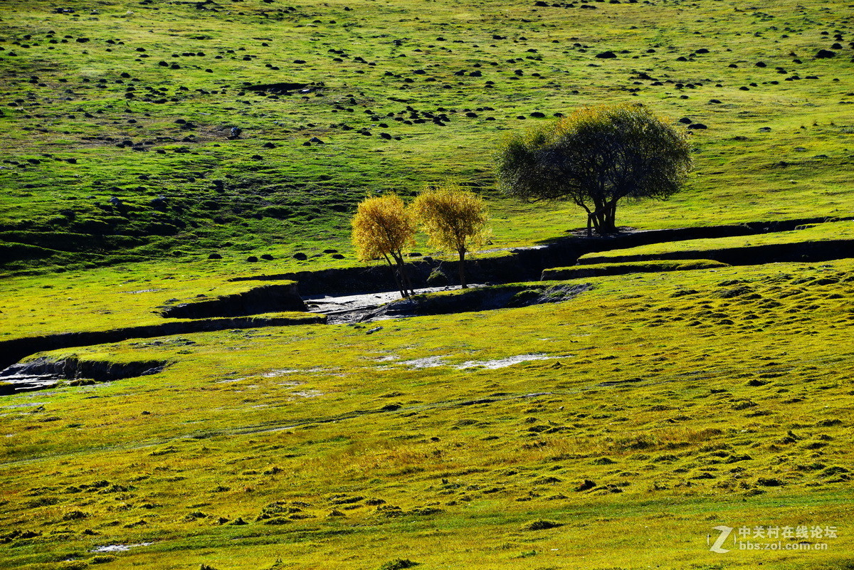 美丽的乌兰布统之二