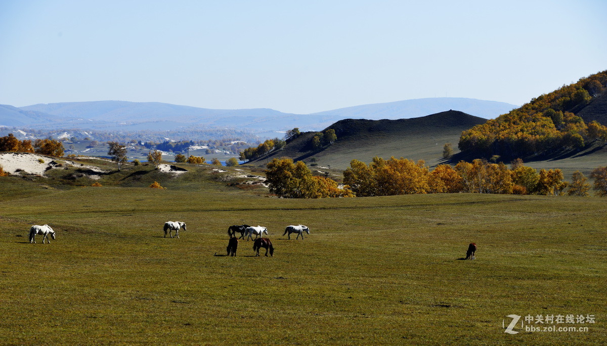 美丽的乌兰布统之二
