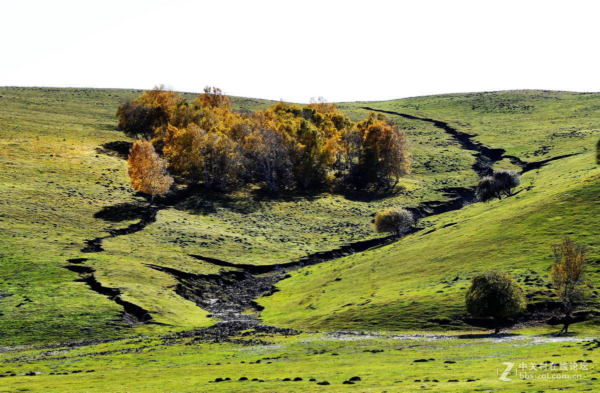 美丽的乌兰布统之二