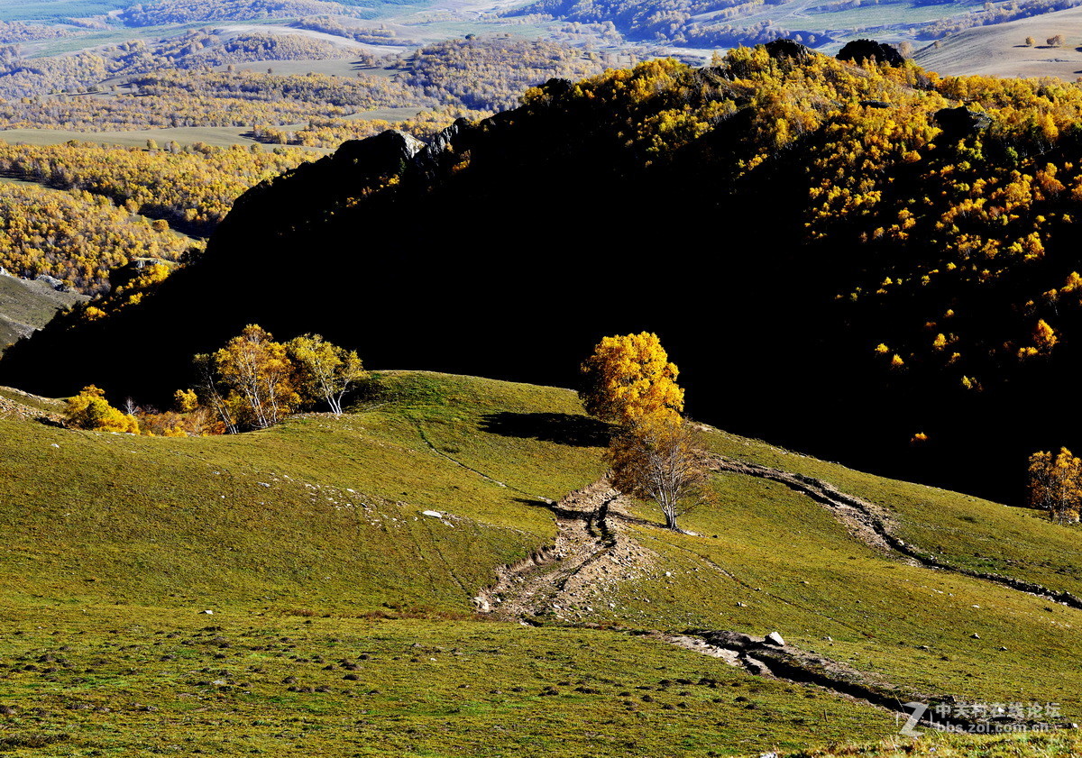 美丽的乌兰布统之二