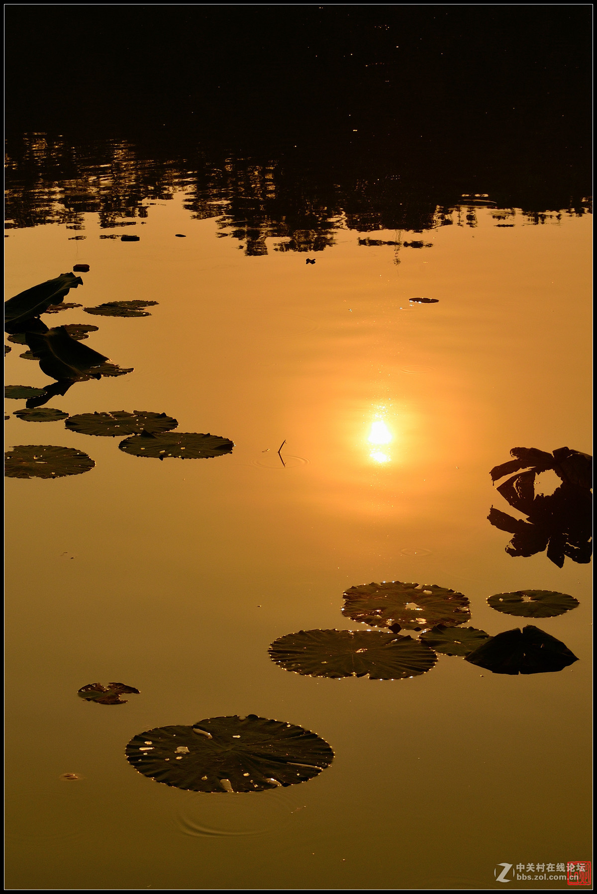 夕阳