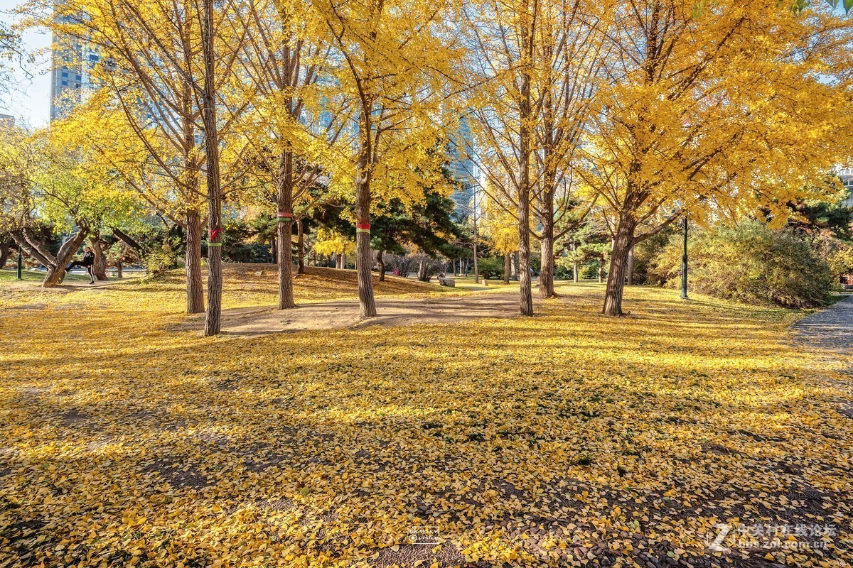 #版主坐堂# 腾龙153星空(中国)2017年十一月精品荟萃