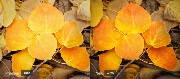 Adobe更新Lightroom，能用AI更专业地处理照片，照片误删如何恢复