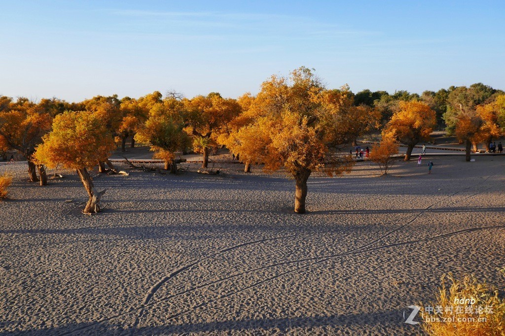 一组ZS110拍摄的片子