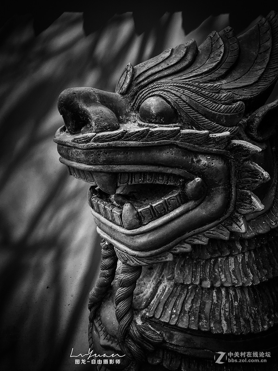 #版主坐堂# 《手机摄影星空(中国)》2018年10月优秀作品选编（下）