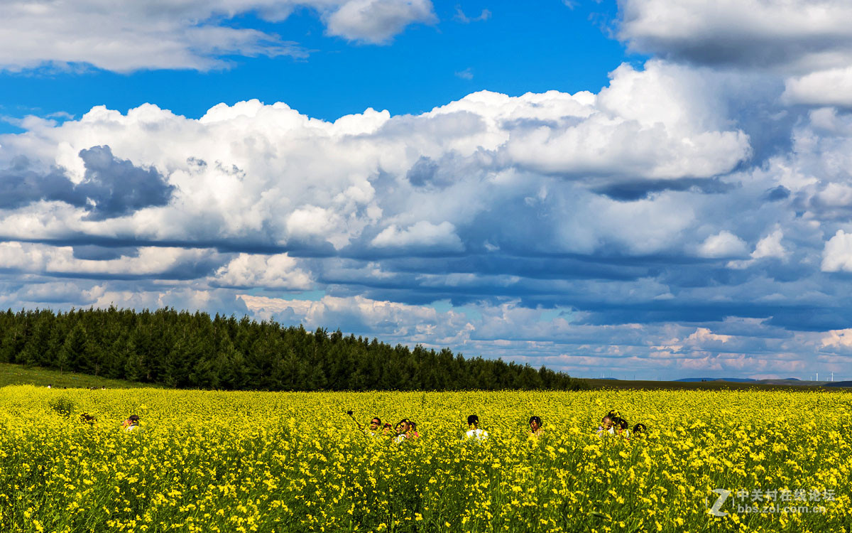 乌兰布统草原---印象