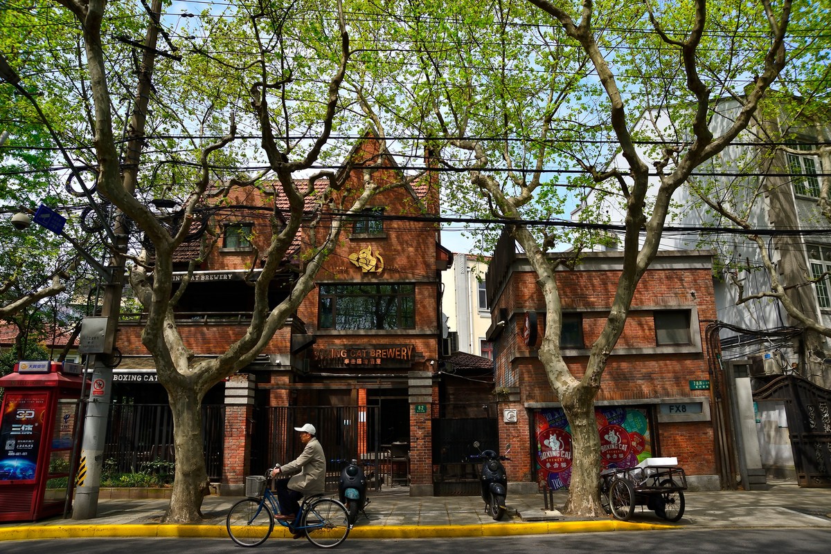 上海街景系列淮海路复兴西路武康路春天街景201604一