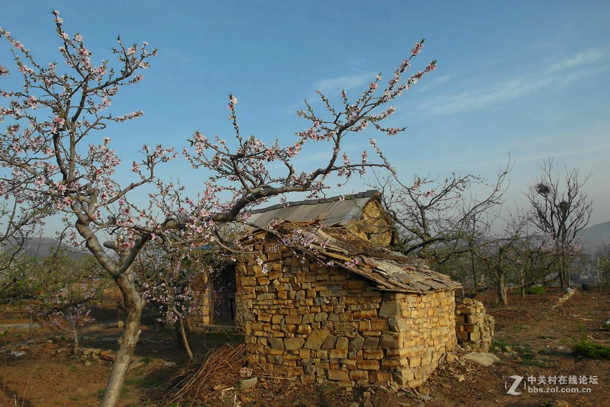 【历尽风雨】123...12p