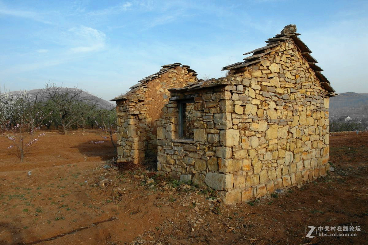 【历尽风雨】123...12p