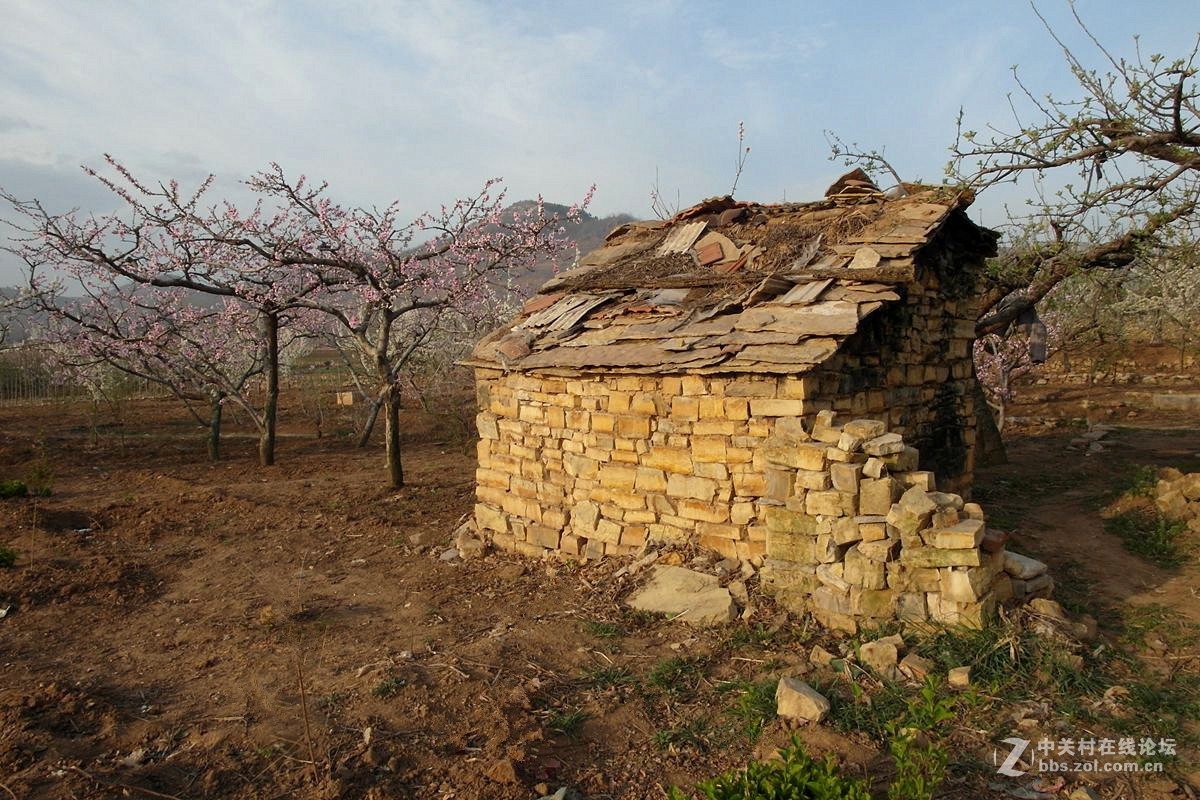 【历尽风雨】123...12p