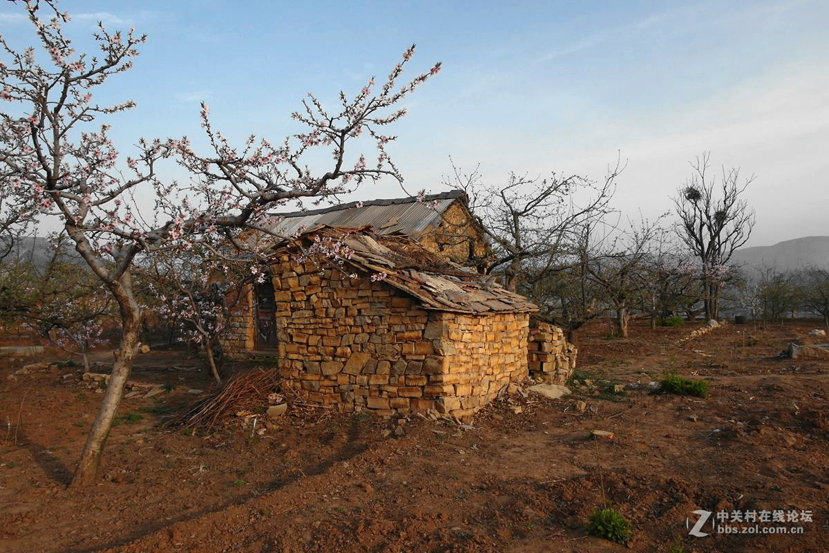【历尽风雨】123...12p