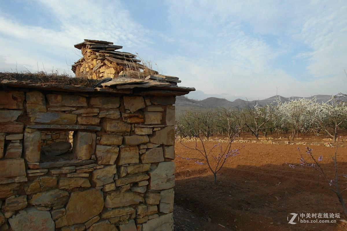 【历尽风雨】123...12p